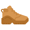 Shoe