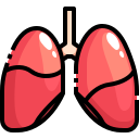 Lungs