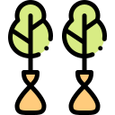 Reforestation