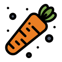 Carrot