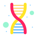 Dna