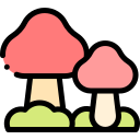 champignon