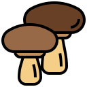 champignon