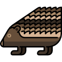 Hedgehog