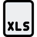 Xls file format