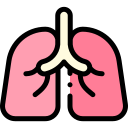 Lungs