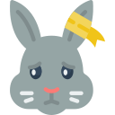 lapin