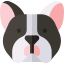 bulldogge