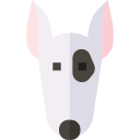 bullterrier