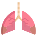 pulmón