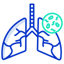 pulmões infectados