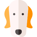 hund