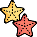 estrella de mar