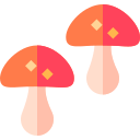 champignons