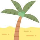 drzewo kokosowe