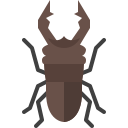 escarabajo ciervo