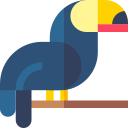 toucan