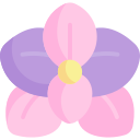 orquídea