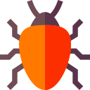 甲虫