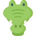 Crocodile