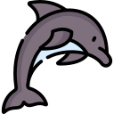 delfin