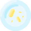 Petri dish