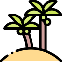 Coconut tree