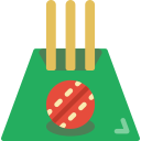 Cricket stump