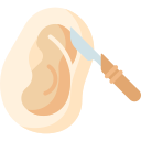 Ear