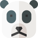pandabär