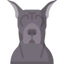 Great dane