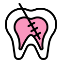 endodontist