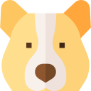 Corgi