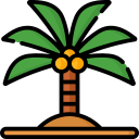 Coconut tree