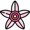 Tapioca flower