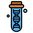 Dna