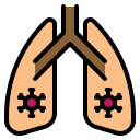 pulmón