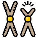 cromossoma