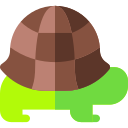 Tortoise