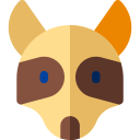 waschbärhund