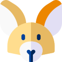 Fennec