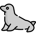 foca