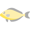 魚