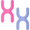 les chromosomes