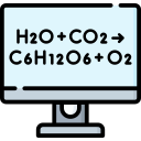 photosynthèse