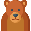 urso pardo