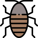 cucaracha silbante de madagascar