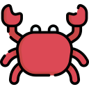 Crab