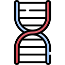 struttura del dna