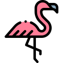 flamingo